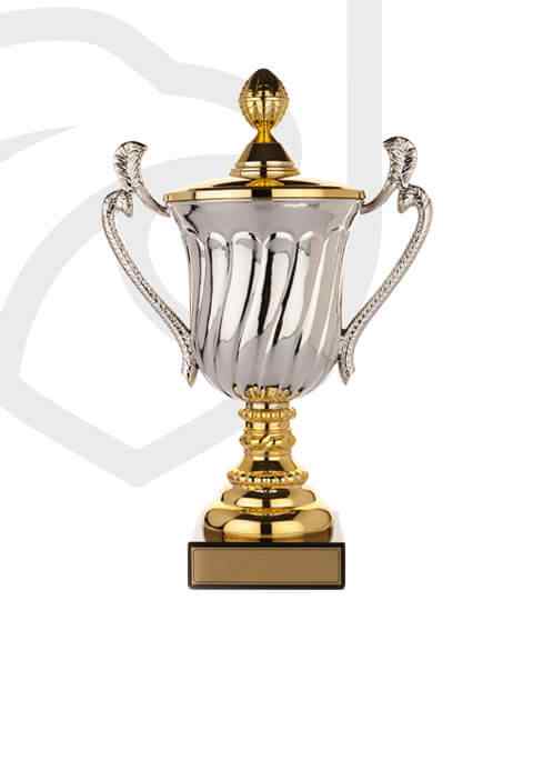 https://www.boysvairano.it/wp-content/uploads/2022/11/trophy_overlay_02.jpg