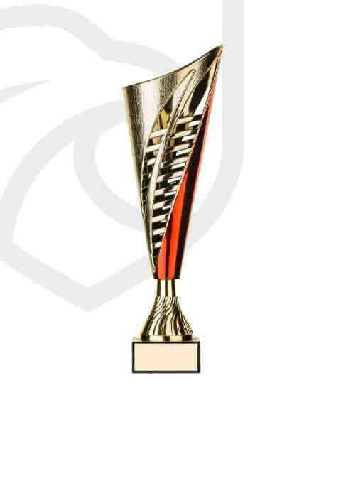 https://www.boysvairano.it/wp-content/uploads/2022/11/trophy_overlay_05.jpg